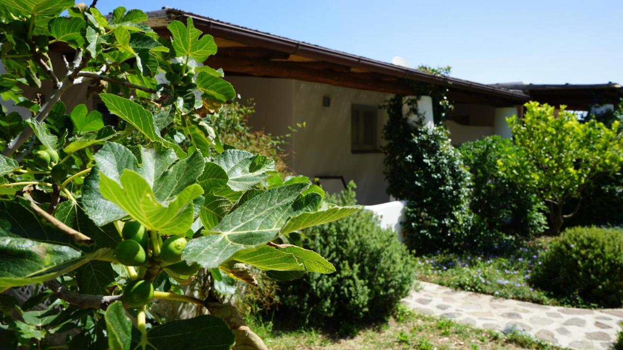 Le Casette Di Malfa (Salina)