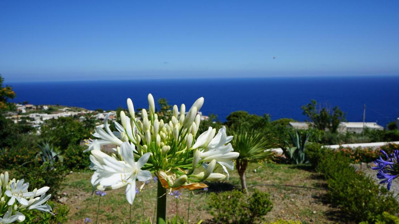 Le Casette Di Malfa (Salina)